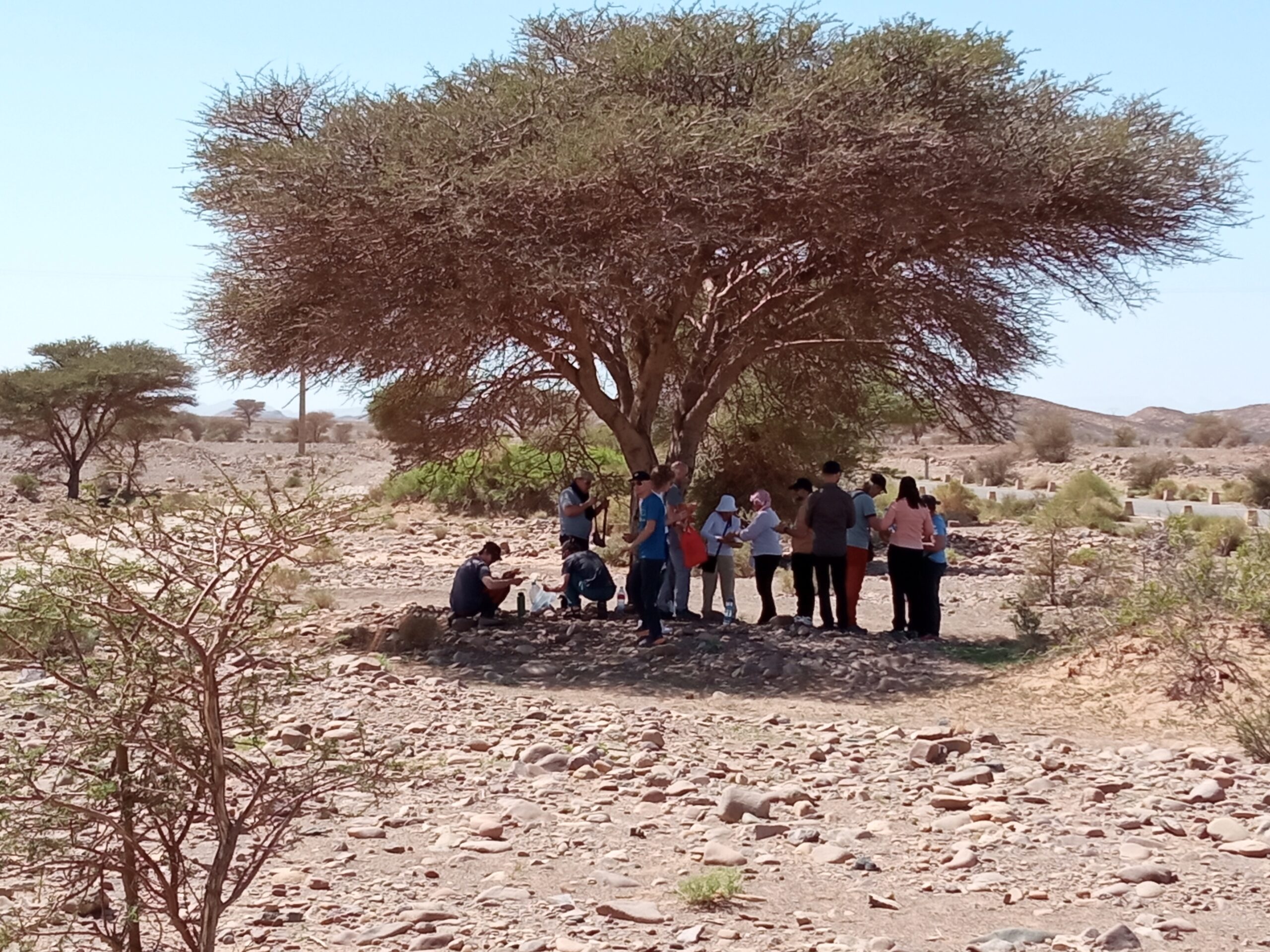 12-Days Desert Trip from Marrakech